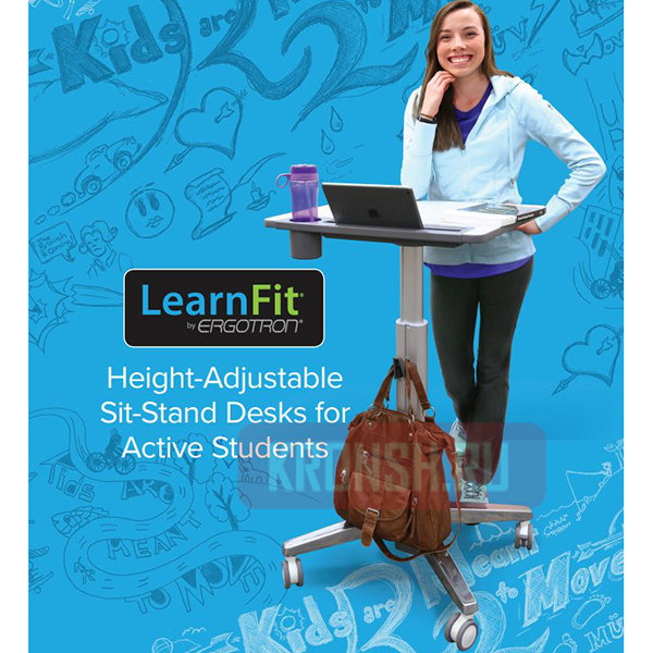 Рабочее место Ergotron 24-481-003