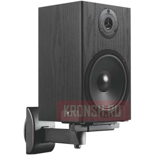 Кронштейн ErgoFount BAM-01 (черный) 