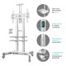 Мобильный стенд Onkron TS1552 (белый)  